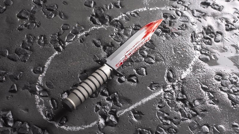 School Knife Attack in Croatia Leaves One Child Dead, Five Injured