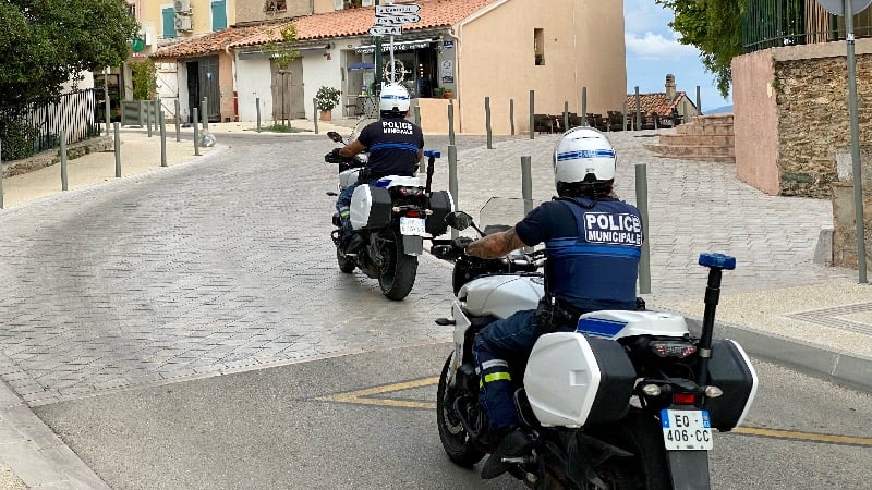 “We Will Rape Your Women And Colonize You!” Gang of Aliens Jailed in France For Racist Attack on White Neighbors During Community Barbecue