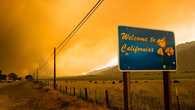 California Continues To See Massive Negative Net Domestic Migration