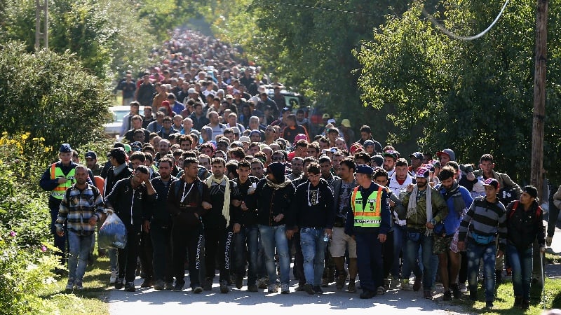 German Government Plans to Import Thousands of Afghans After The Election at Taxpayers’ Expense