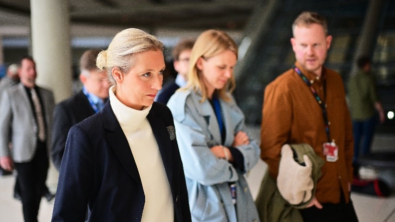 AfD Says Attack on Party “Clearly Politically Motivated”