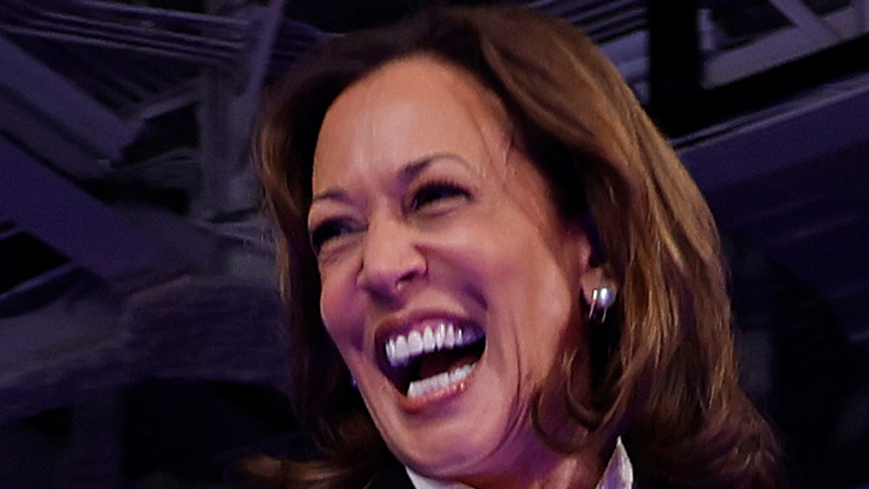 Kamala Harris Claims Trump Will Use Military to ‘Go After’ Civilians
