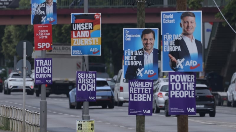 AfD Ban To Proceed to German Parliament