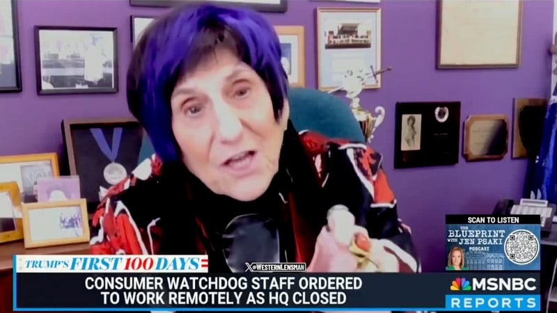 Dem Rep Melts Down Over Trump & DOGE: ‘They’re Dismantling The Federal Government!’