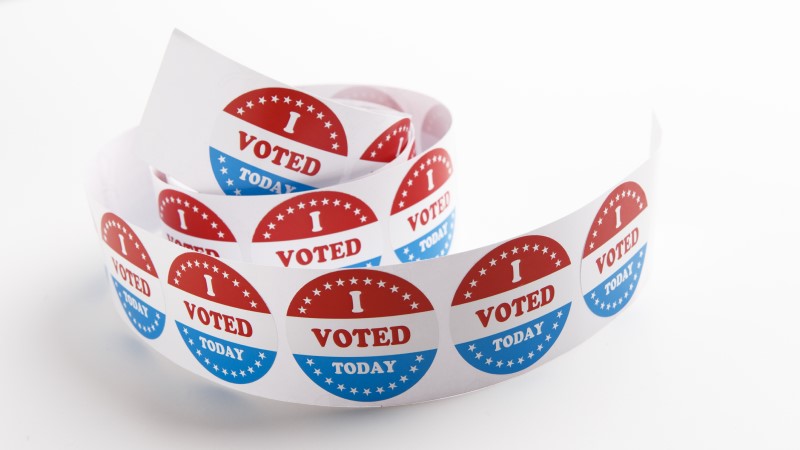 Election Interference! Federal Judge Forces Virginia To Keep Illegals On Voter Rolls