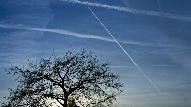 Dane Wigington & Nicole Shanahan Expose Geoengineering As The REAL THREAT, Not “Climate Change”