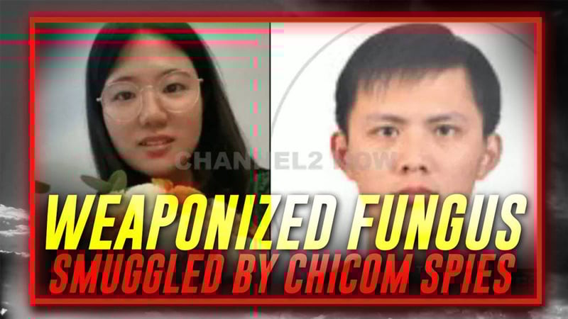 EXCLUSIVE: The Communist Chinese Spies Indicted For Smuggling Weaponized Fungus Into The United States Are Part Of A Larger Chicom/Globalist Chemical/Biological Warfare Plan Against Humanity