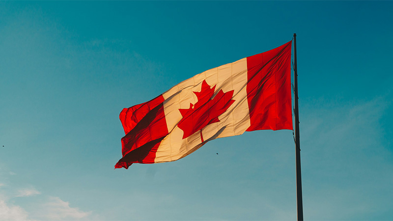 Trudeau Gov’t Official Makes Crude ‘Dog Pee’ Remark in Criticism of Conservative Column