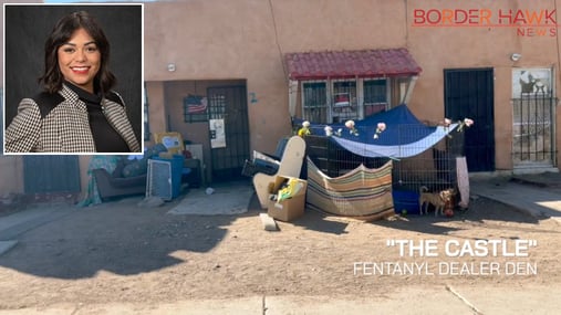 Image for New Mexico Official Smears Immigration News Outlet as “White Nationalists” After Report Exposes Raging Fentanyl Crisis in Her City article