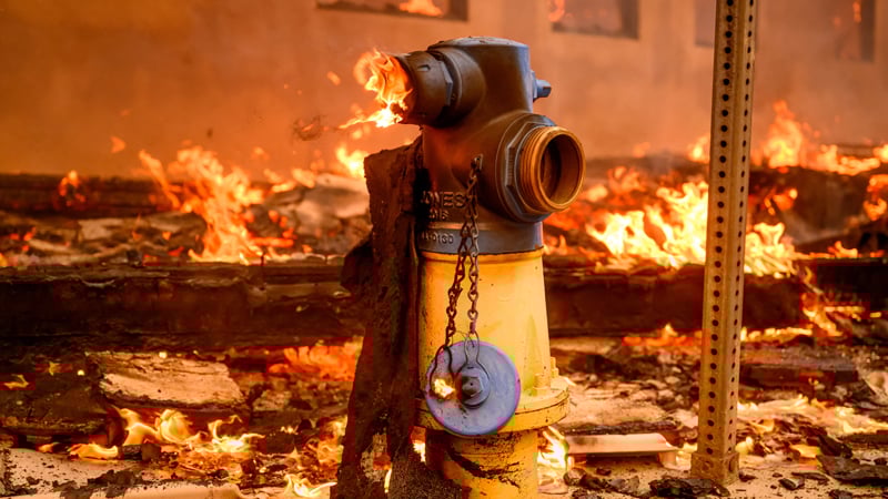BREAKING: Elon Musk Responds To Alex Jones’ Claim That The Democrat Deep State Is Responsible For The Catastrophic Fires In Los Angeles
