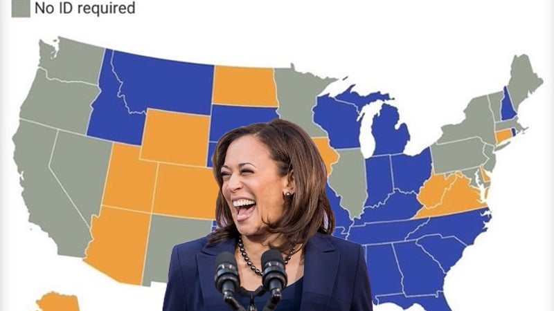 Coincidence? Kamala Only Won States Where Voter ID Not Required