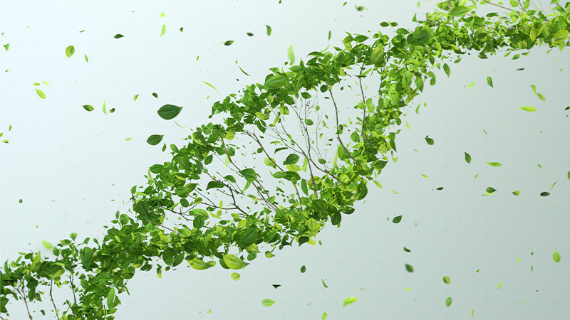 Genetically Modified Crops: A Growing Threat to Health and The Environment