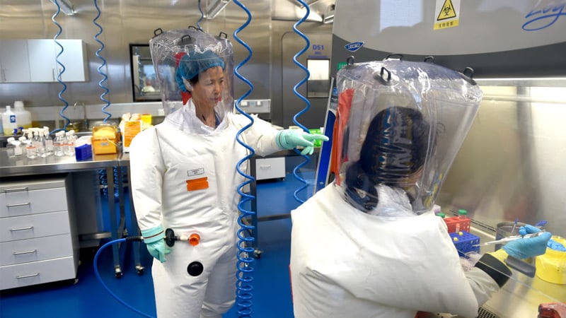Wuhan ‘Bat Lady’ Reveals New Coronavirus With Pandemic Potential