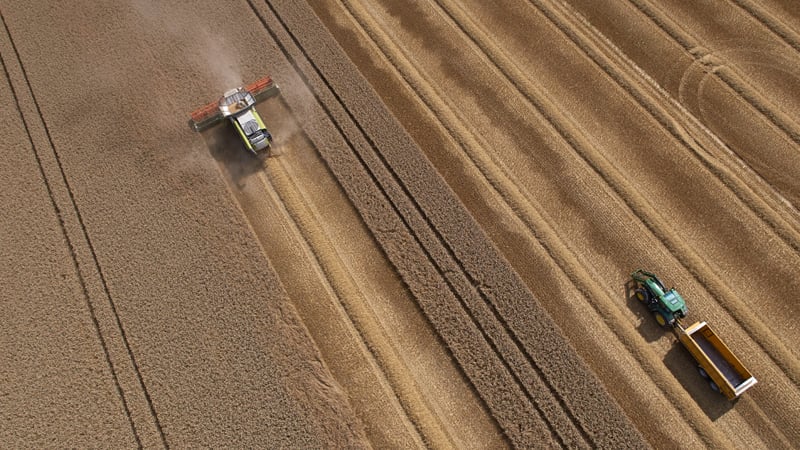 Cereal For The Peasants? How The Elites Use “Skimpflation” To Control Our Eating Habits