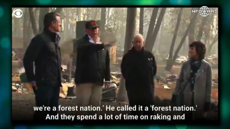 FLASHBACK: Trump Was 100% Right About The Need For Raking The Forests & Reinstituting Fire Mitigation Programs