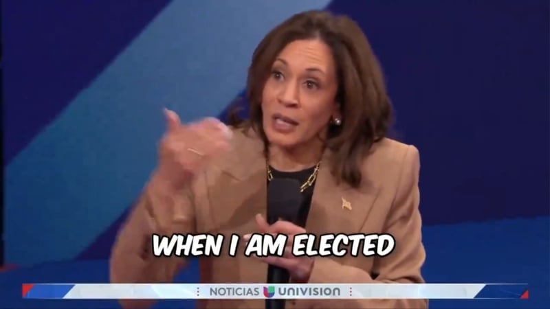 Harris Pledges Amnesty for Millions