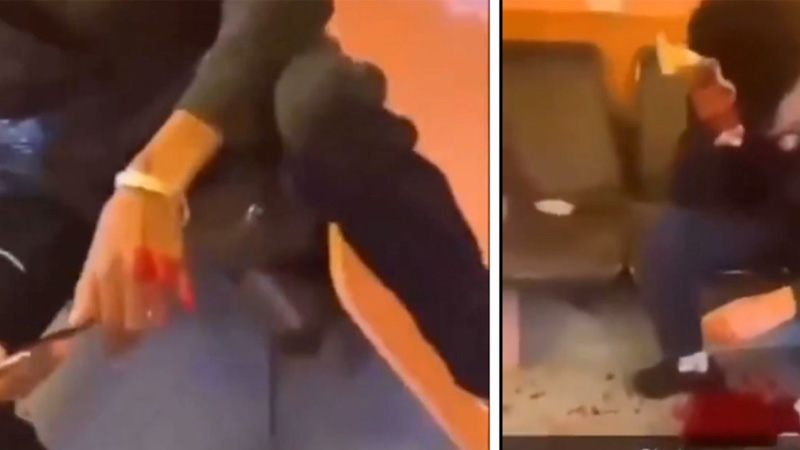 Video: Gruesome Axe Attack on Train Outside Paris Leaves Passengers in Shock Video: Gruesome Axe Attack on Train Outside Paris Leaves Passengers in Shock