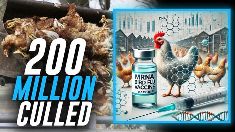 Over 200 Million Chickens Killed Under Biden Admin’s Watch & Big Pharma’s mRNA Bird Flu Shot Would Make Disease Worse While Poisoning Food Supply