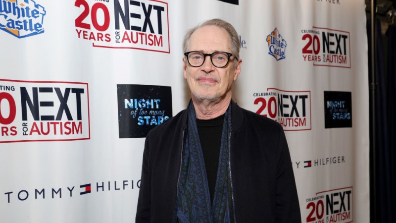 Actor Steve Buscemi Hospitalized After Random NYC Attack