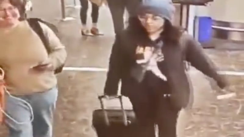 WATCH: Pro-Terrorism Agitator Self-Deports to Canada After Visa Revoked
