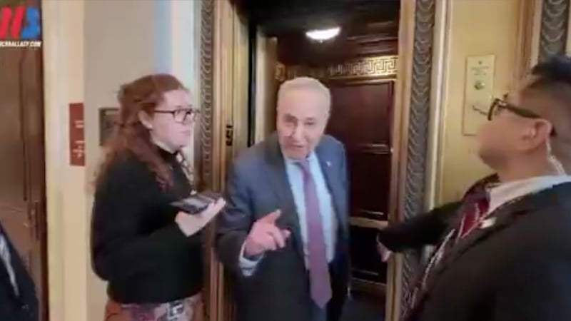 Watch: Chuck Schumer Refuses To Denounce Violence Against Tesla — Instead Attacks Musk