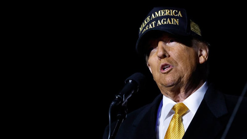 Live: Trump Surges With Just 10 Days Until Election as Kamala Continues to Sink in Polls