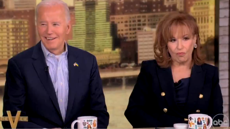 Whoopi Goldberg Calls Trump A ‘Bug’ & Joe Biden Pretends To Smash Pest With His Fist In Latest Example Of Violent Democrat Rhetoric