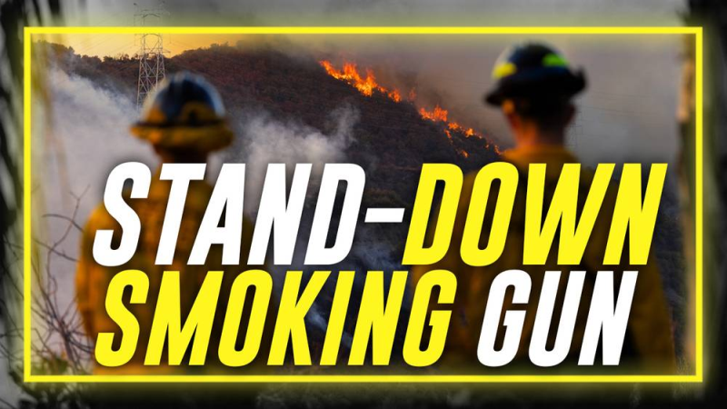 BREAKING BOMBSHELL: Stand Down Of LA Firefighting Forces Ordered Hours Before Historic Inferno By Democrat Party Emergency Managers Who Knew Of Life-Threatening Winds