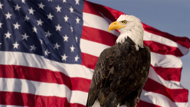 LIVE July 4th Broadcast: Democrats in Desperate Free-fall Panic as Cacklin’ Kamala Poised to Lead Party — TUNE IN!