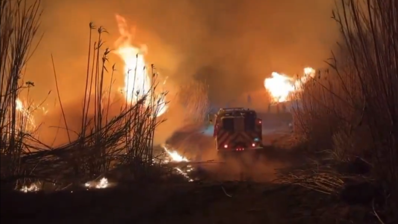 Two More Fires Hit Southern California, One Blaze Near Homeless Camp