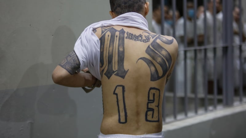 MS-13 Gangbangers Caught at Northern, Southern Borders on Same Day