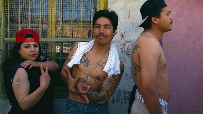 Breaking! DHS & Texas DPS Raid Massive Colony Ridge Illegal Alien Settlement