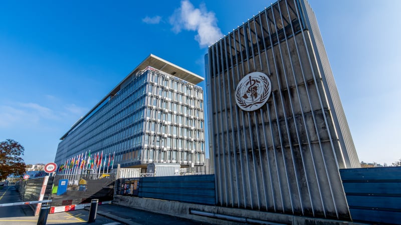 US May Quit World Health Organization on Trump’s First Day – Report