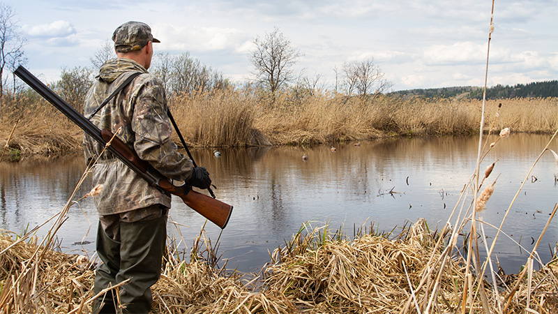 French Springfield: Migrants Attack Hunters and Kill Pet Ducks