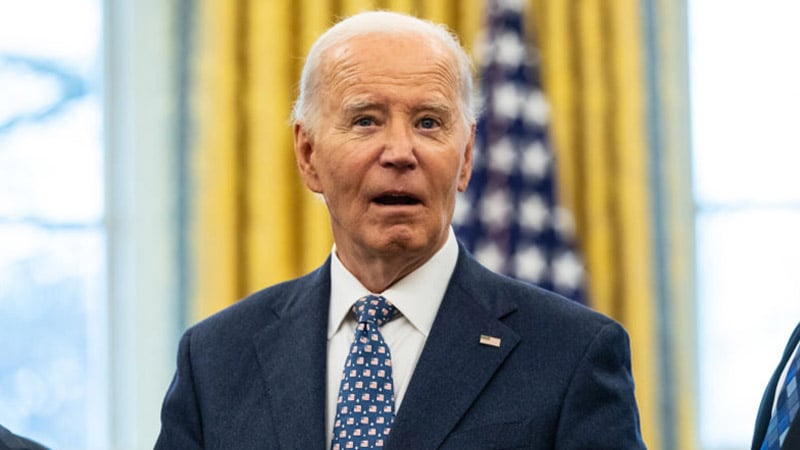 Democrats Brace For ‘Accountability’ After Refusing to Acknowledge Biden’s Mental Decline