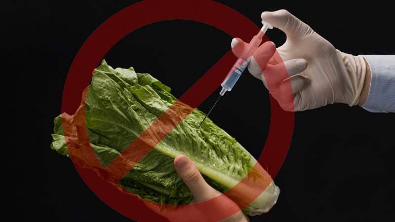 ‘Vaccine Lettuce’ On Track to be Classified as ‘Drug’ in Tennessee