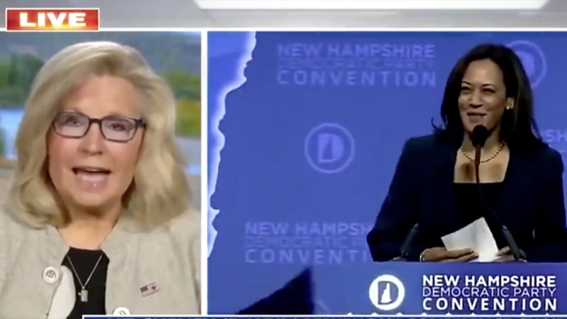 Flashback: RINO Liz Cheney Previously Called Kamala “Radical Liberal” to “Left of Bernie Sanders and Elizabeth Warren”