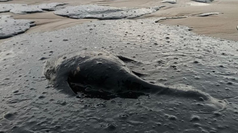 Oil Spill Prompts Federal Emergency in Russia