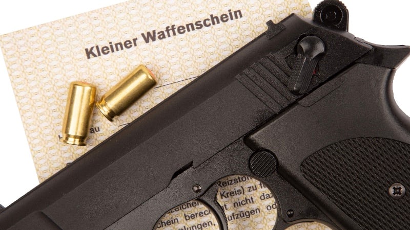 Germany’s Gun Grab? Saxony-Anhalt Begins Disarming AfD Members