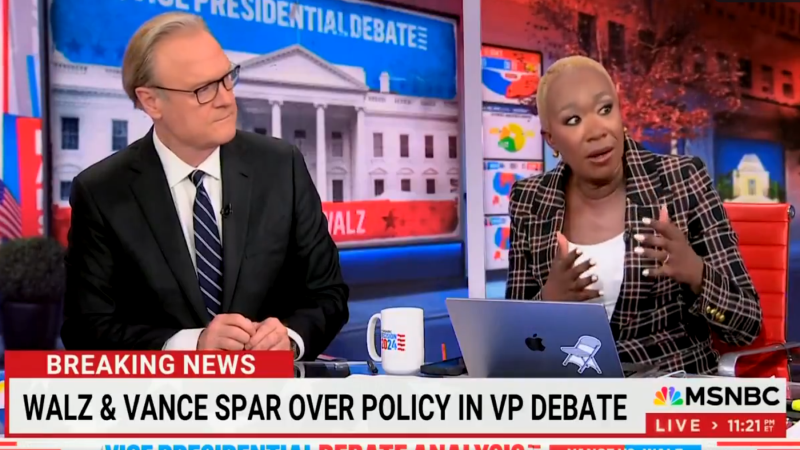 MSNBC’s Joy Reid Says ‘Democrat Base’ Wants ‘Fistfight’ Where Someone Gives ‘Knuckle Sandwich To Donald Trump’