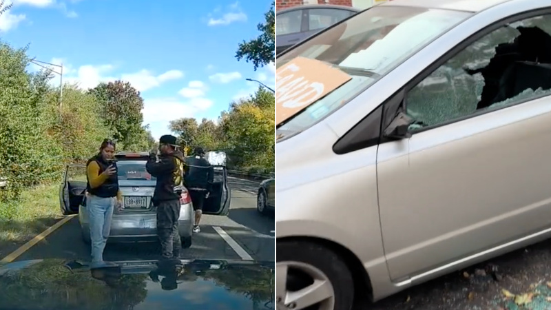 UPDATE: Vigilantes Track Down Car Used in Suspected Insurance Fraud Crash on NYC Highway