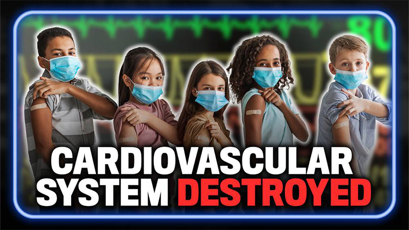 Medical Genocide Bombshell! Massive Gov’t Sponsored UK Study of 1.7 Million Children Confirms Experimental Covid Injection Destroys Children’s Cardiovascular System