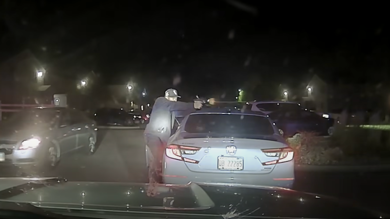 Shock Video: Murder Suspect Shoots, Pistol-Whips Cop During Traffic Stop
