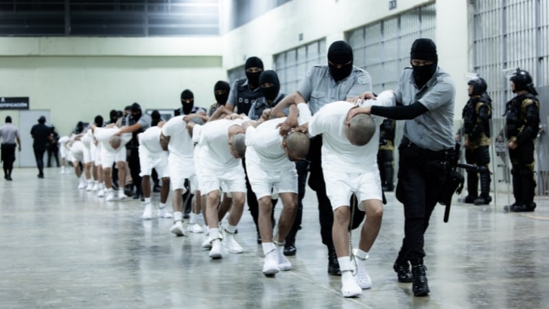 ICE Arrests 68 Members of Tren de Aragua