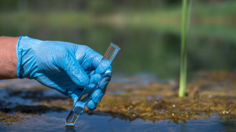 Chinese Nationals Caught Smuggling “Agroterrorism” Fungus Into America’s Breadbasket