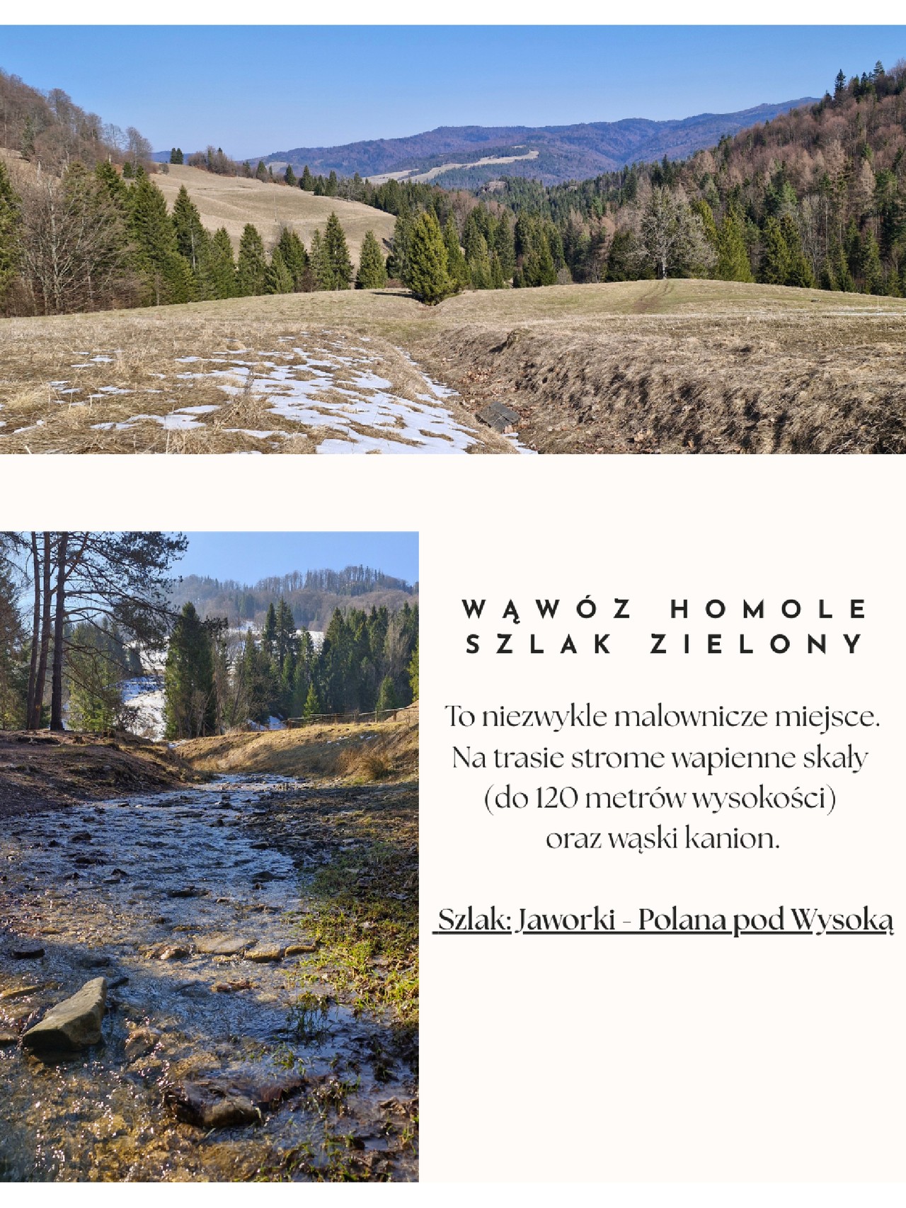Wysoka (1050 M) — Korona Gór Polskich przez Wąwóz Homole 2