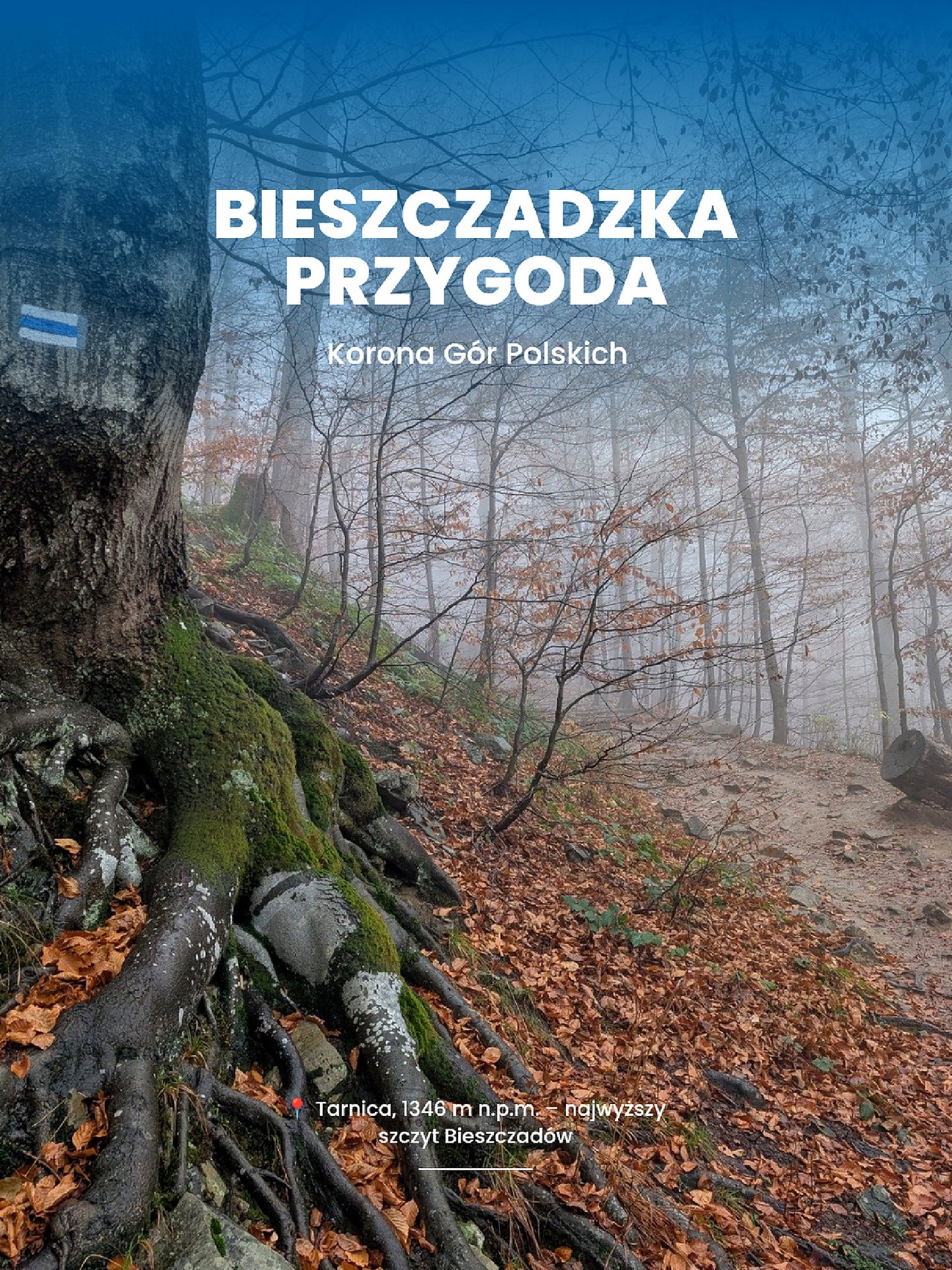 Tarnica - Korona Bieszczadów 1