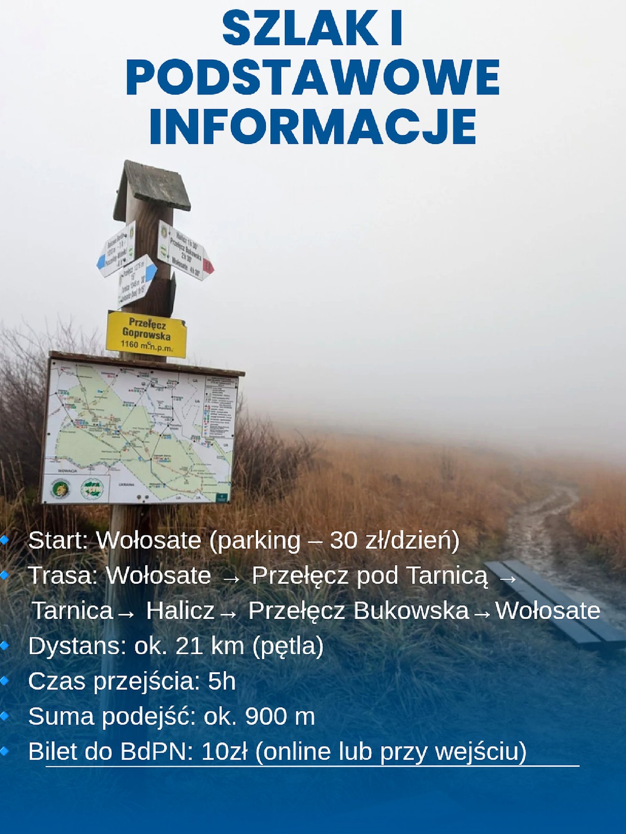 Tarnica - Korona Bieszczadów 2