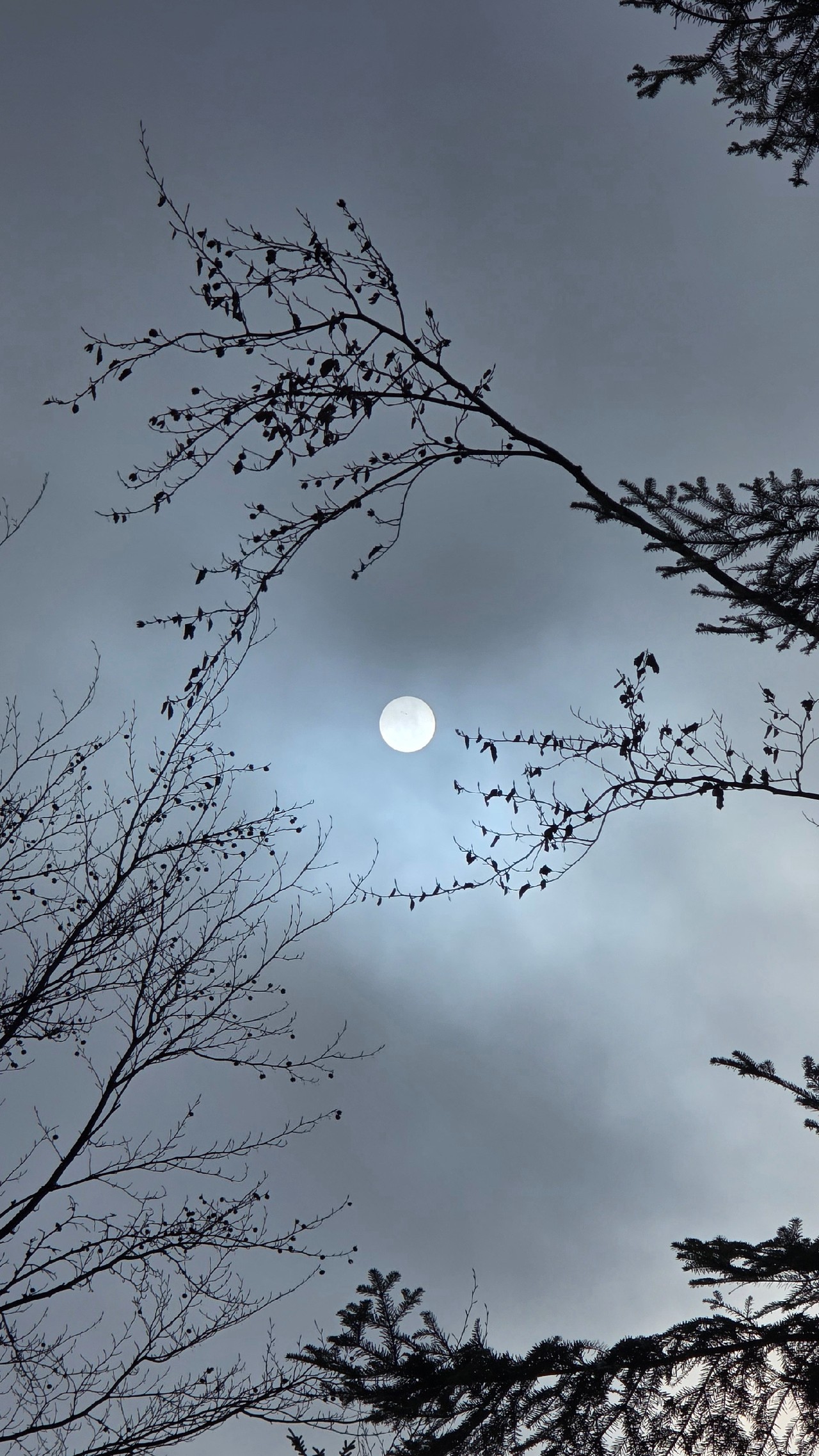 Relacje 1