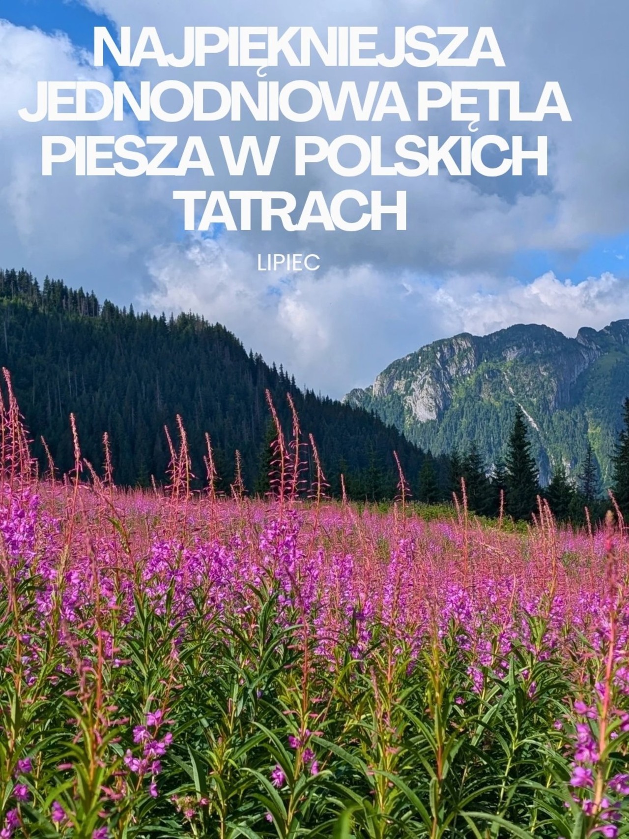 Relacje 1